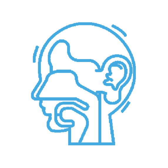 Частен кабинет д-р Таниел Минков УНГ - анатомия ухо нос гърло